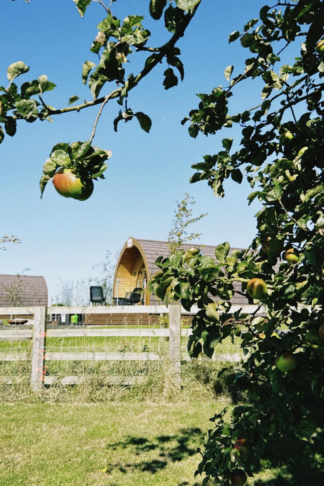 Mingle Dale- Bugthorpe Grange Glamping Villa Stamford Bridge Exterior photo